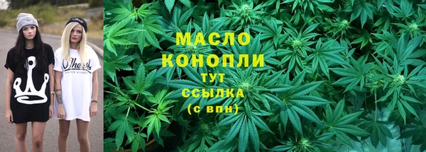 сатива Галич