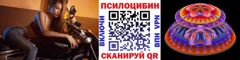 KRAKEN маркетплейс  где можно купить наркотик  Котово  Псилоцибиновые грибы Cubensis 